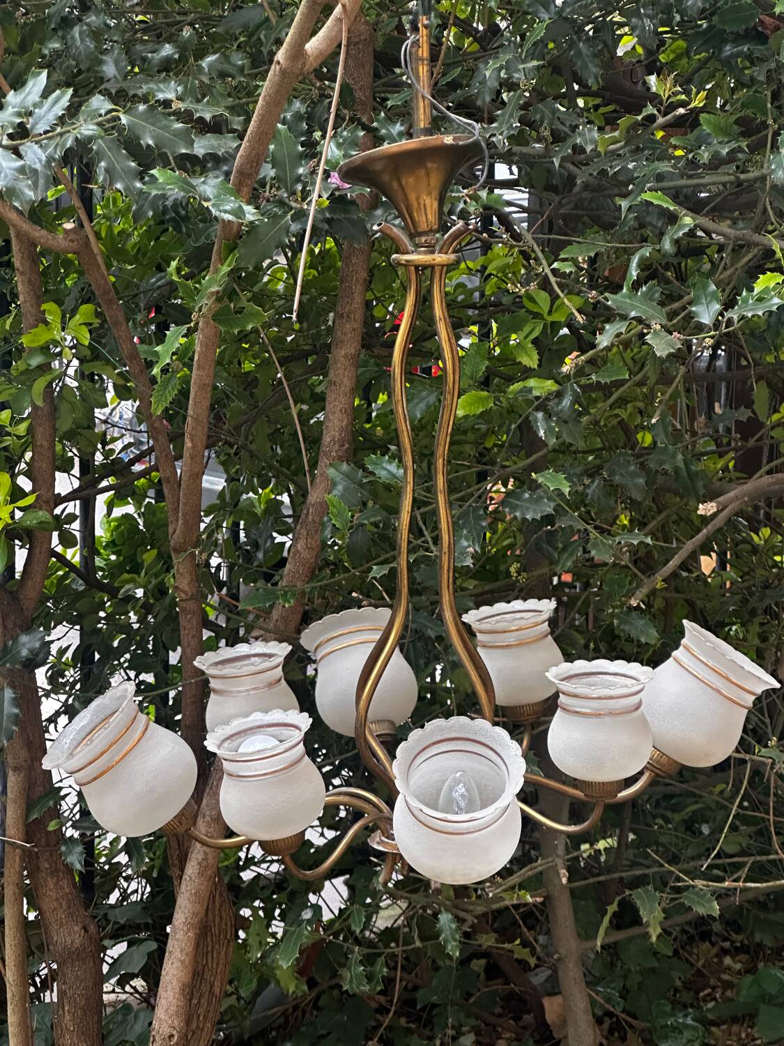 Vintage Lustre Brass and Frosted Glass with White and Gold Large Grains 8 Lights