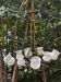 Vintage 8-light chandelier in brass and frosted white and gold glass.