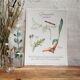 Botanical plank