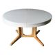 Baumann round table