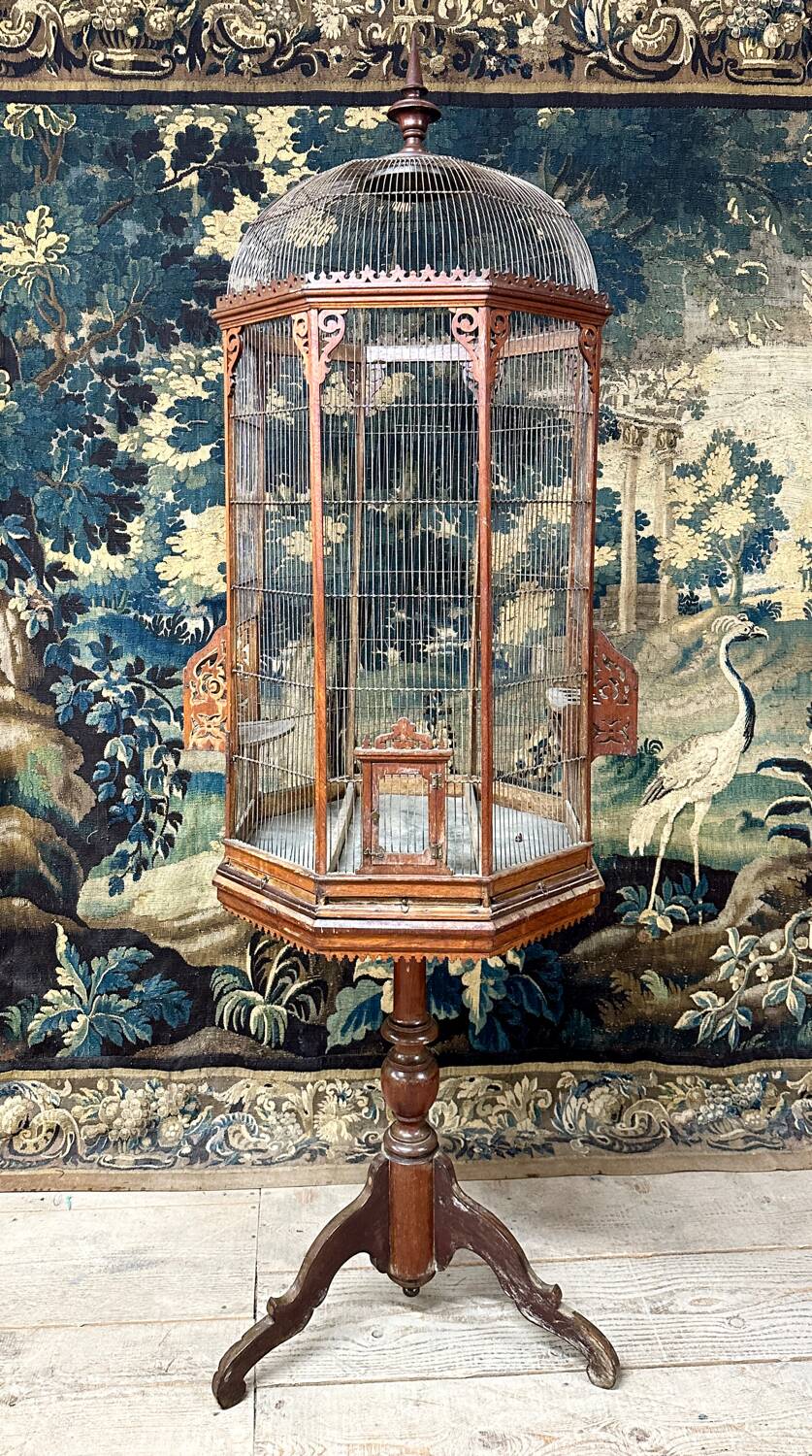 Bird Cage or Old Aviary In Carved Wood, Vintage Work Circa 1900