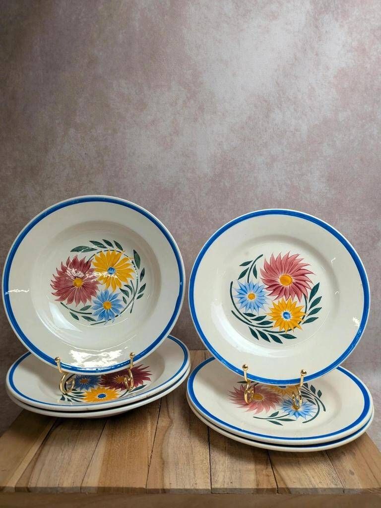 Set of 6 ironstone plates HBC – Rustic Model – Hand-painted floral design