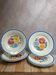 Set of 6 ironstone plates HBC – Rustic Model – Hand-painted floral design