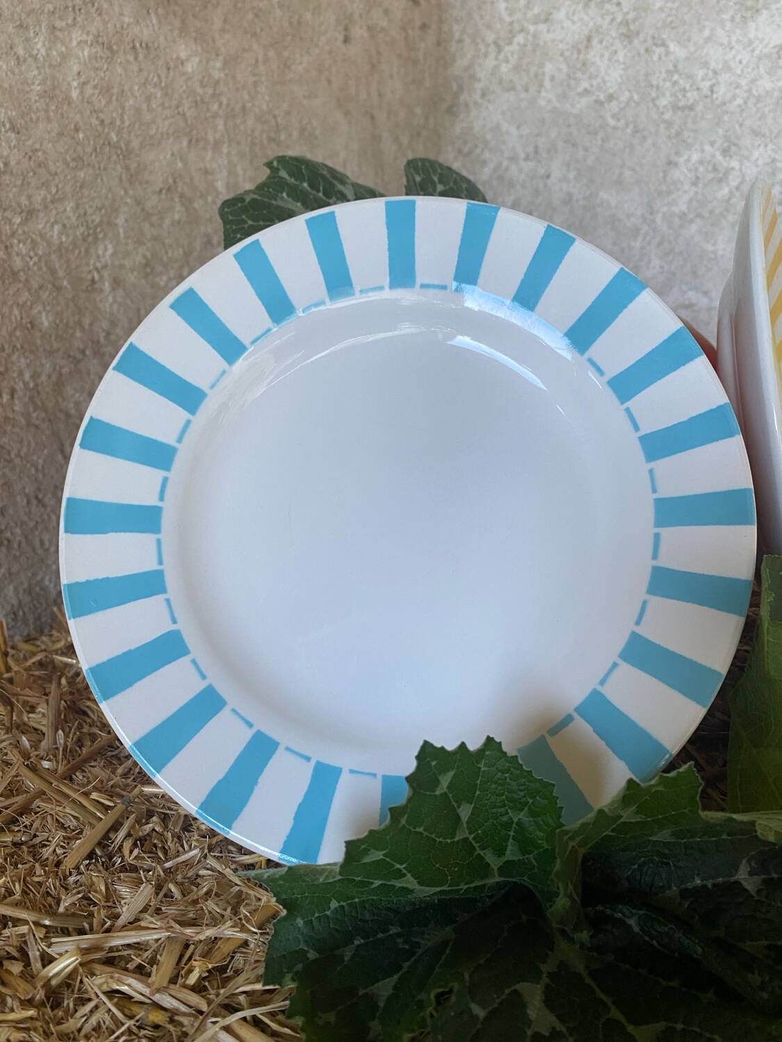Set of 2 Digoin Sarreguemines dinner plates
