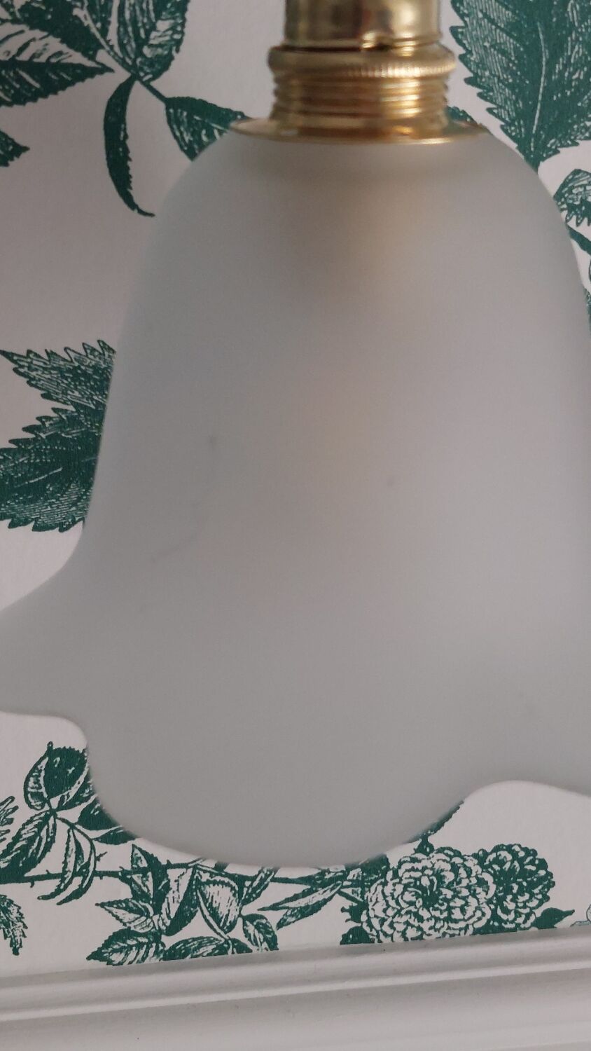 Suspension, glass lamp forming a tulip