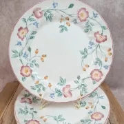 Set of 5 Churchill Briar Rose dinner plates – Vintage English earthenware