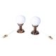Art Deco Table Lamps in Beech and Opal Glass, Czech, 1930s, Set of 2