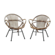 Pair of rattan shell chairs with metallic feet