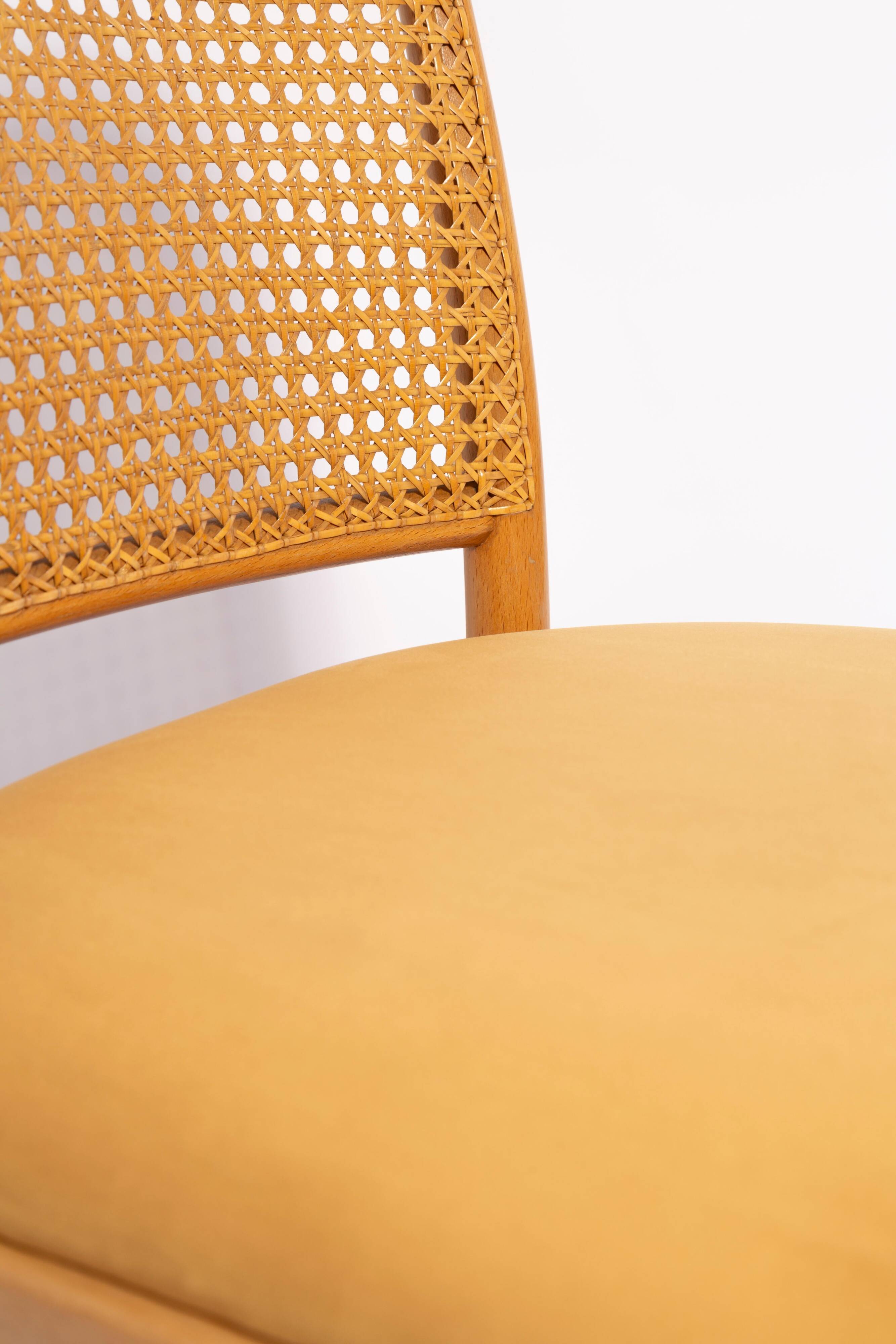 Thonet chair in rattan and yellow velvet wood from the mid-century, Europe, 1960s.