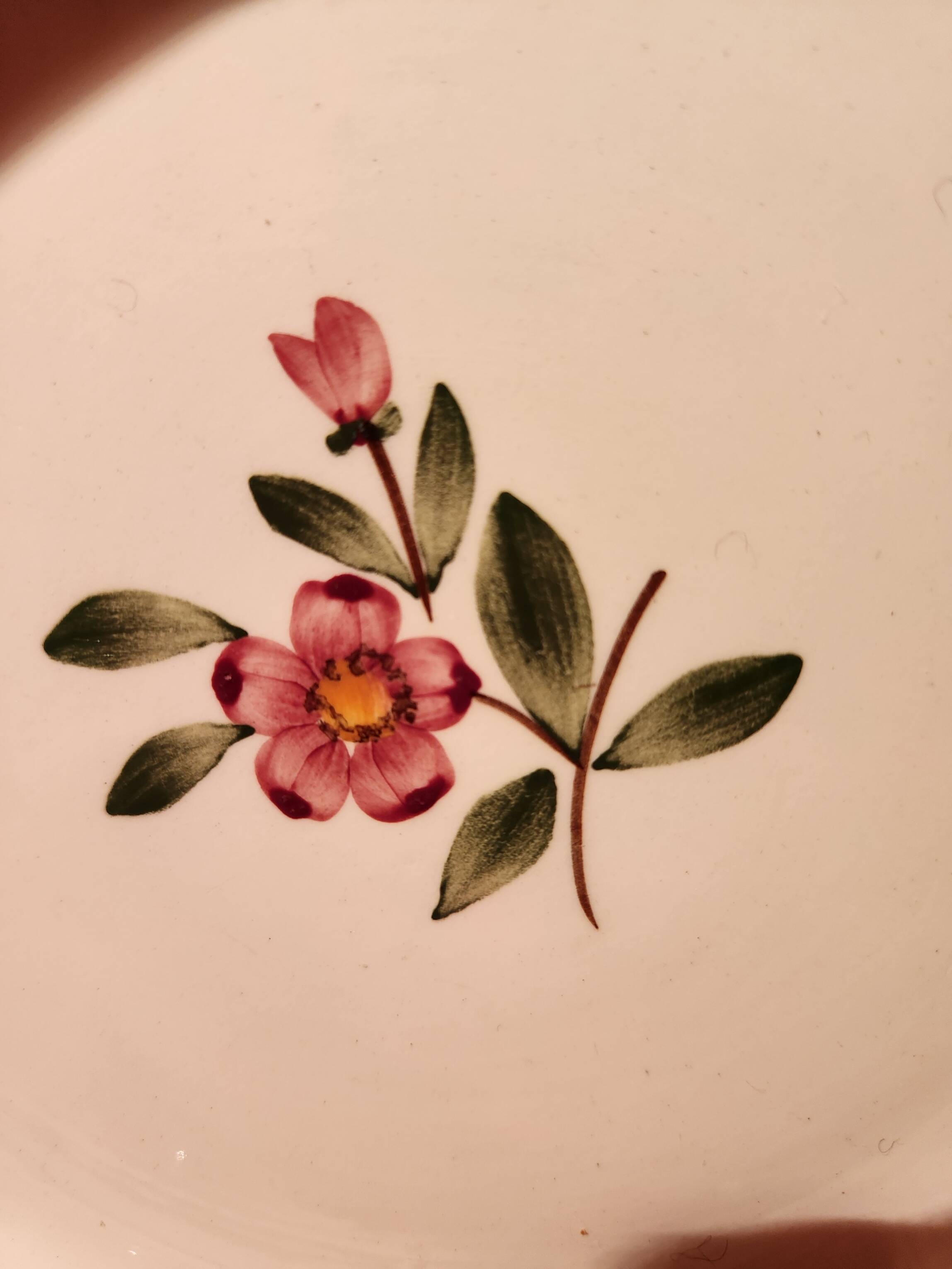 Hollow round plate Armelle Sarreguemines hand-painted