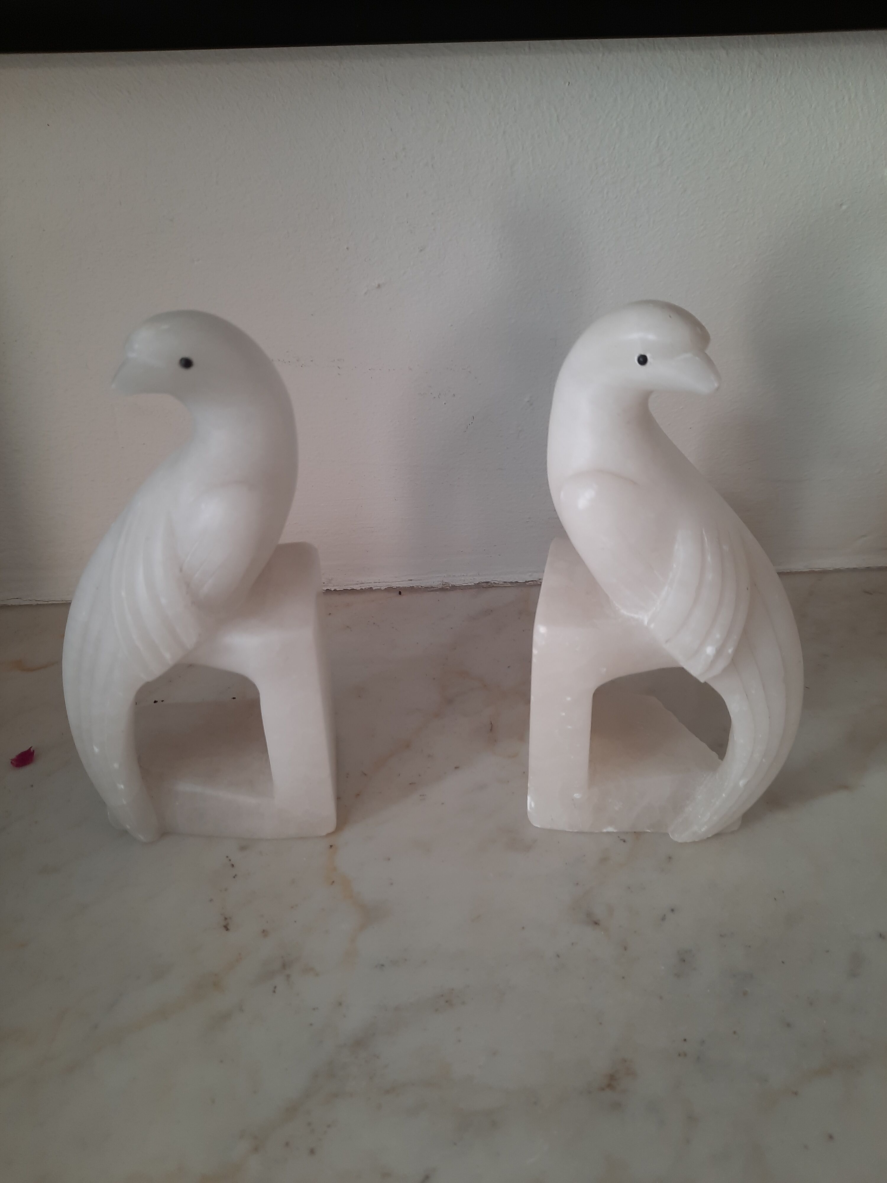 Pair of greenhouses books in albatre