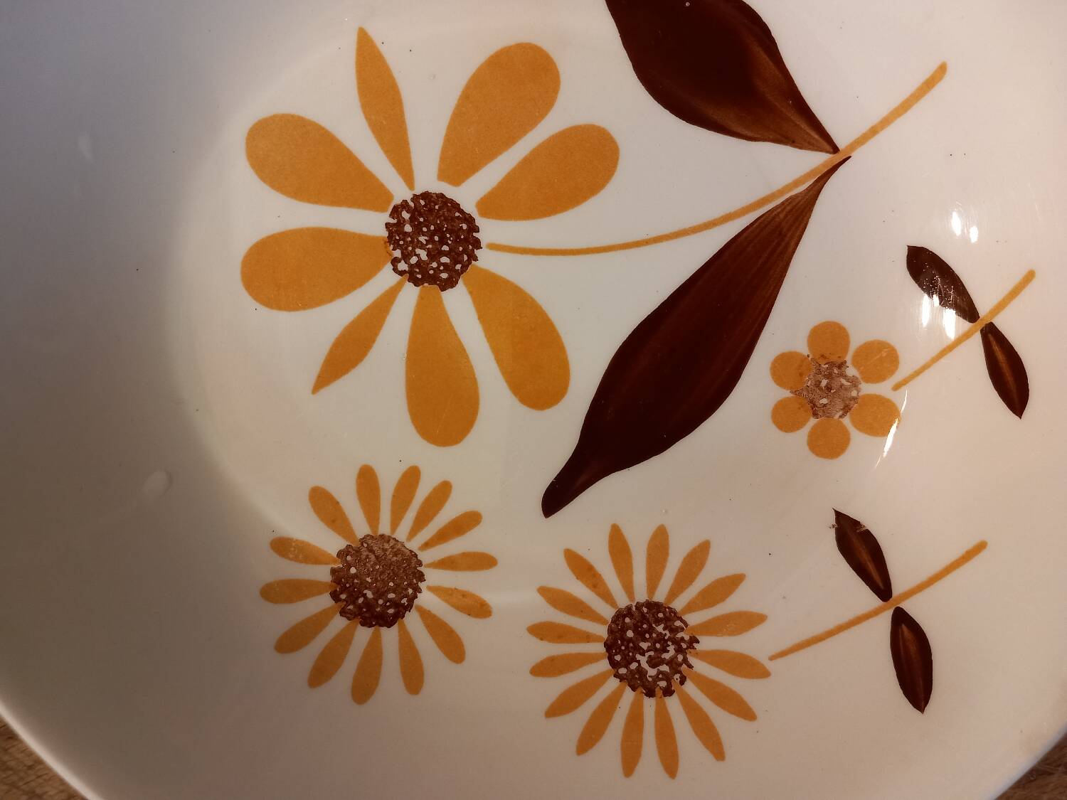 Gien ceramic soup plate