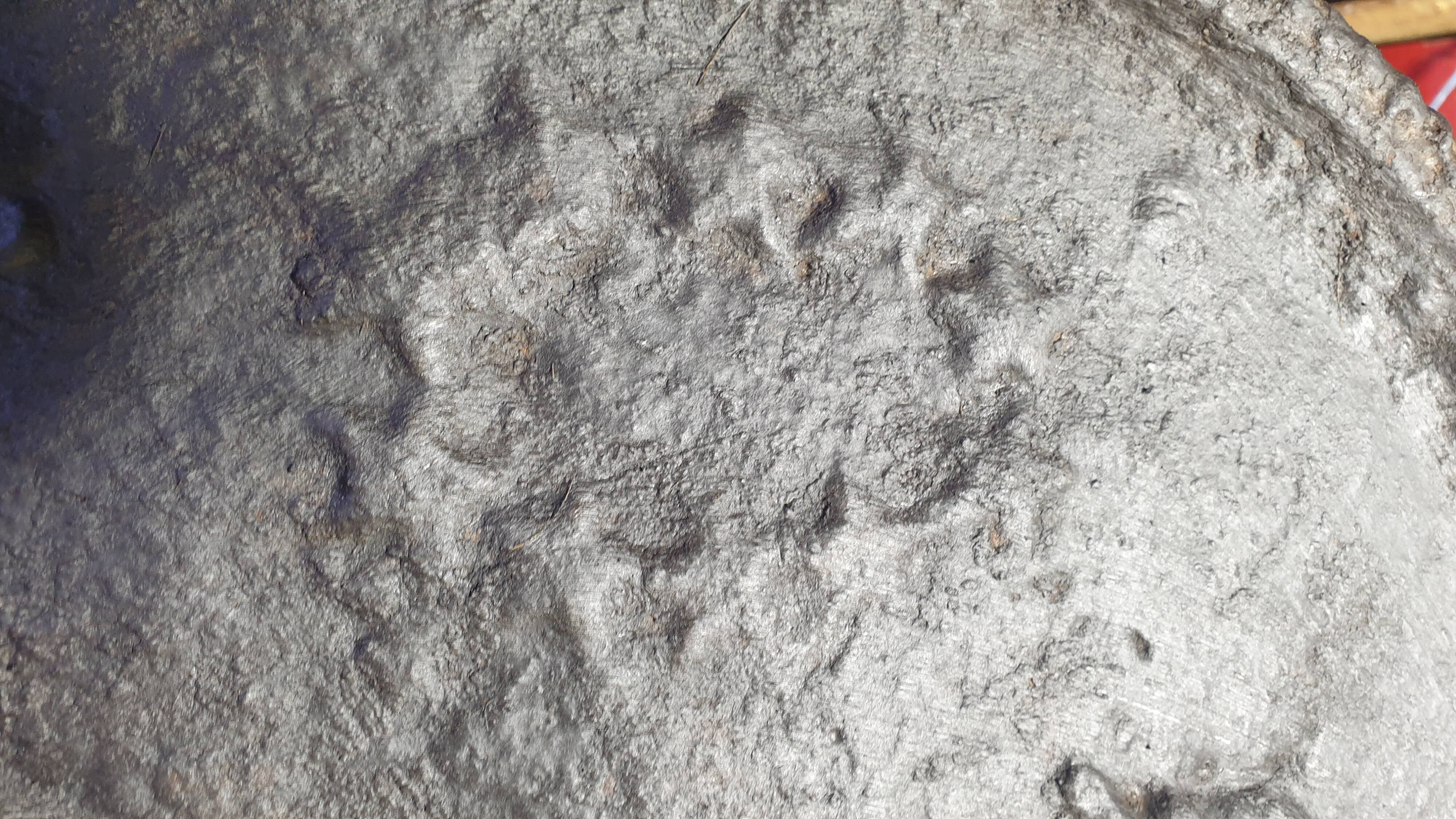 Cast iron fireplace plate - winemaking - 1710