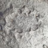 Cast iron fireplace plate - winemaking - 1710