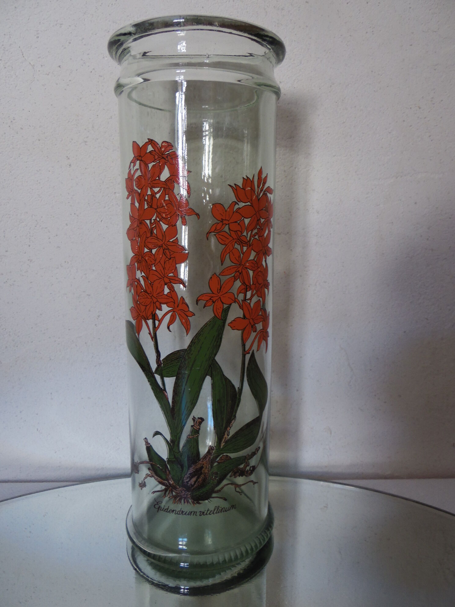 Bocal herboristerie "Epidendrum Vitellinum" en verre décoré et capuchon liège