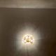 Set of 2 Crystal Glass Peacock Wall Lamps by Palwa