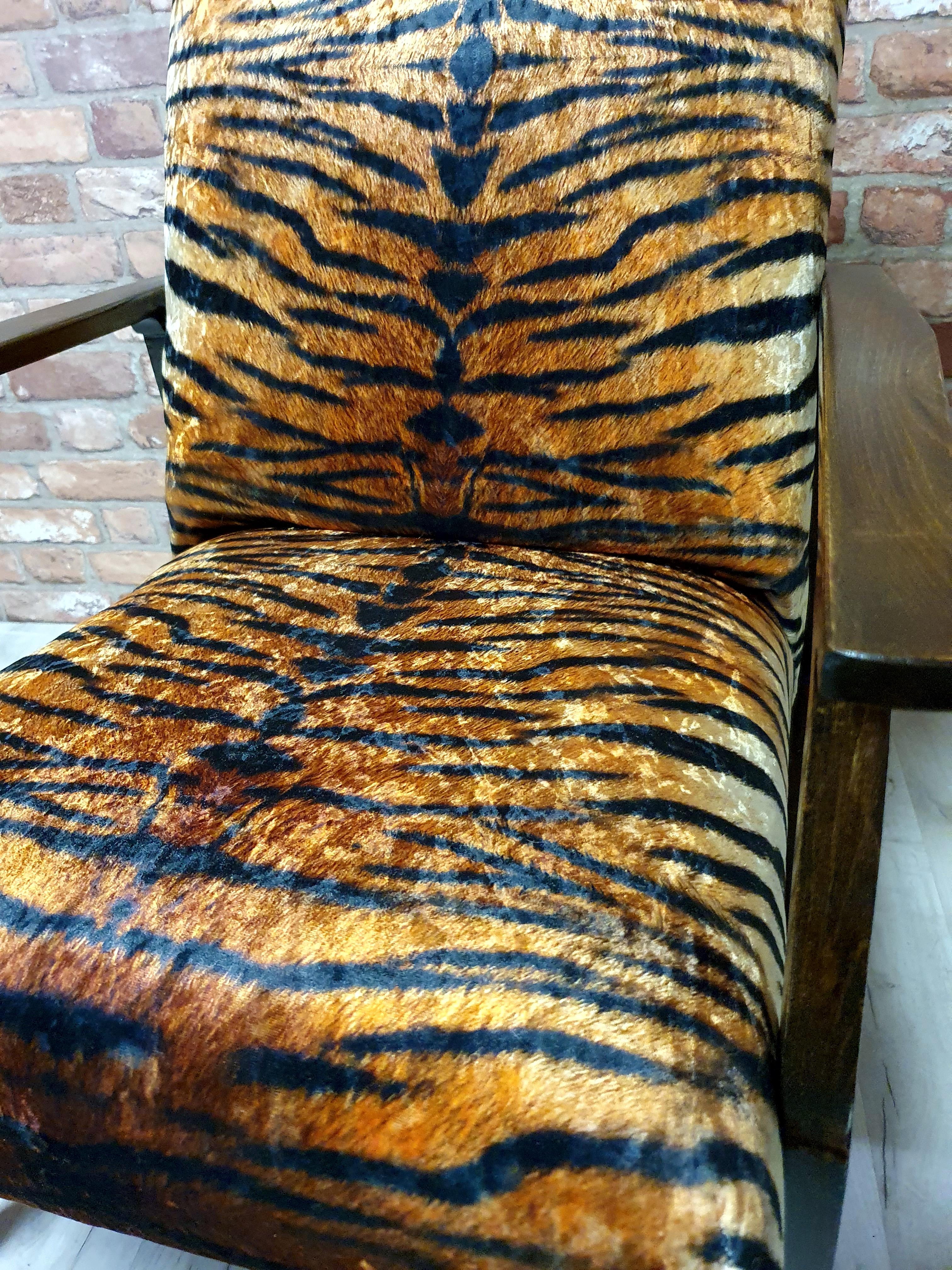 Renovated armchair BW-14, Tiger, Poland 1960s