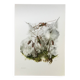 Impression vintage Insectes Illustration ancienne années 60