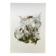 Impression vintage Insectes Illustration ancienne années 60