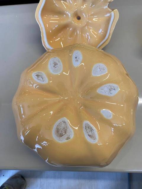 Pumpkin tureen with ladle