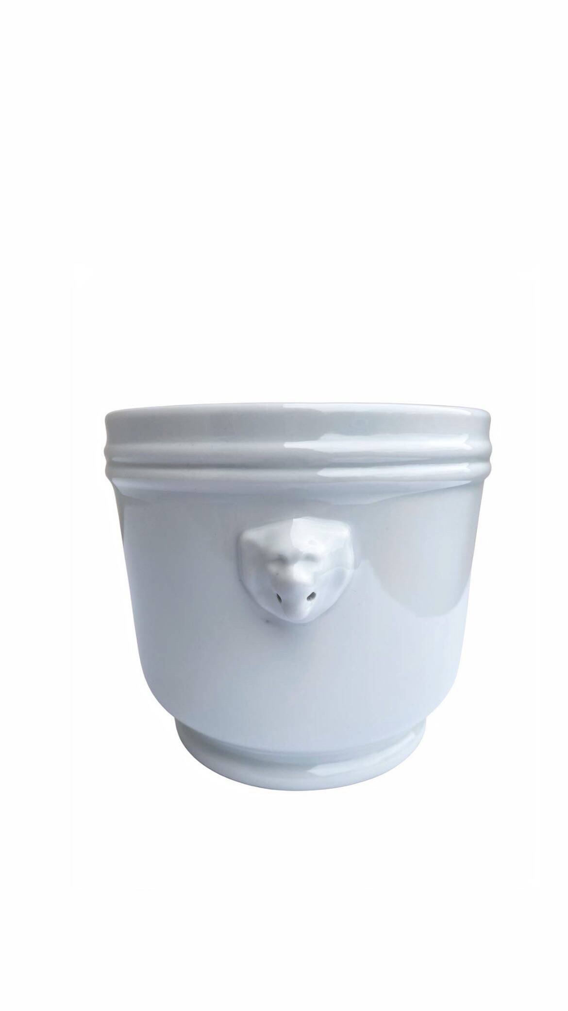 Lion head cache-pot