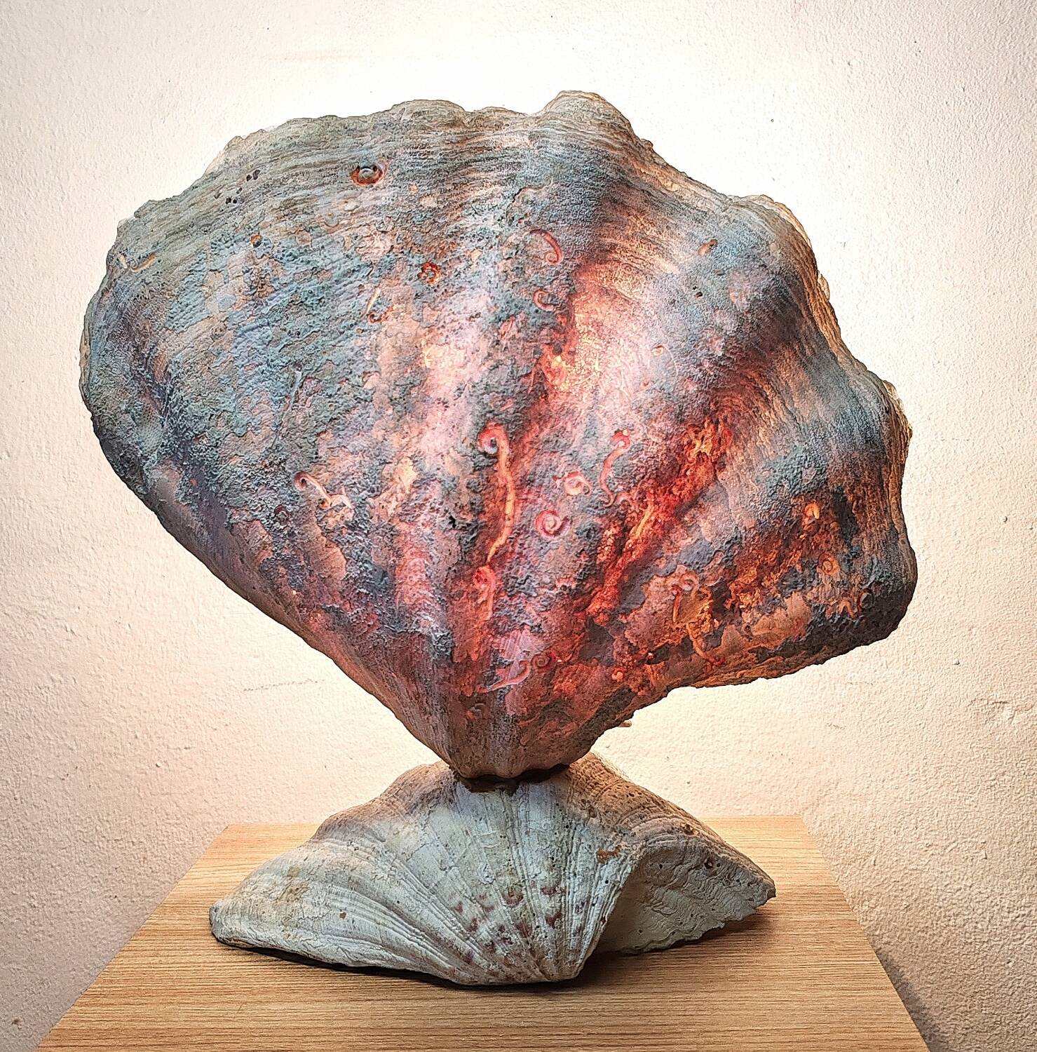 Clam shell lamp