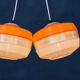 Vintage dutch pendant lamps, 1960s, set of 2