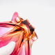 Coupe Murano - Sommerso - Orange & Rose