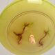 Vintage art deco yellow opaline basin pendant light