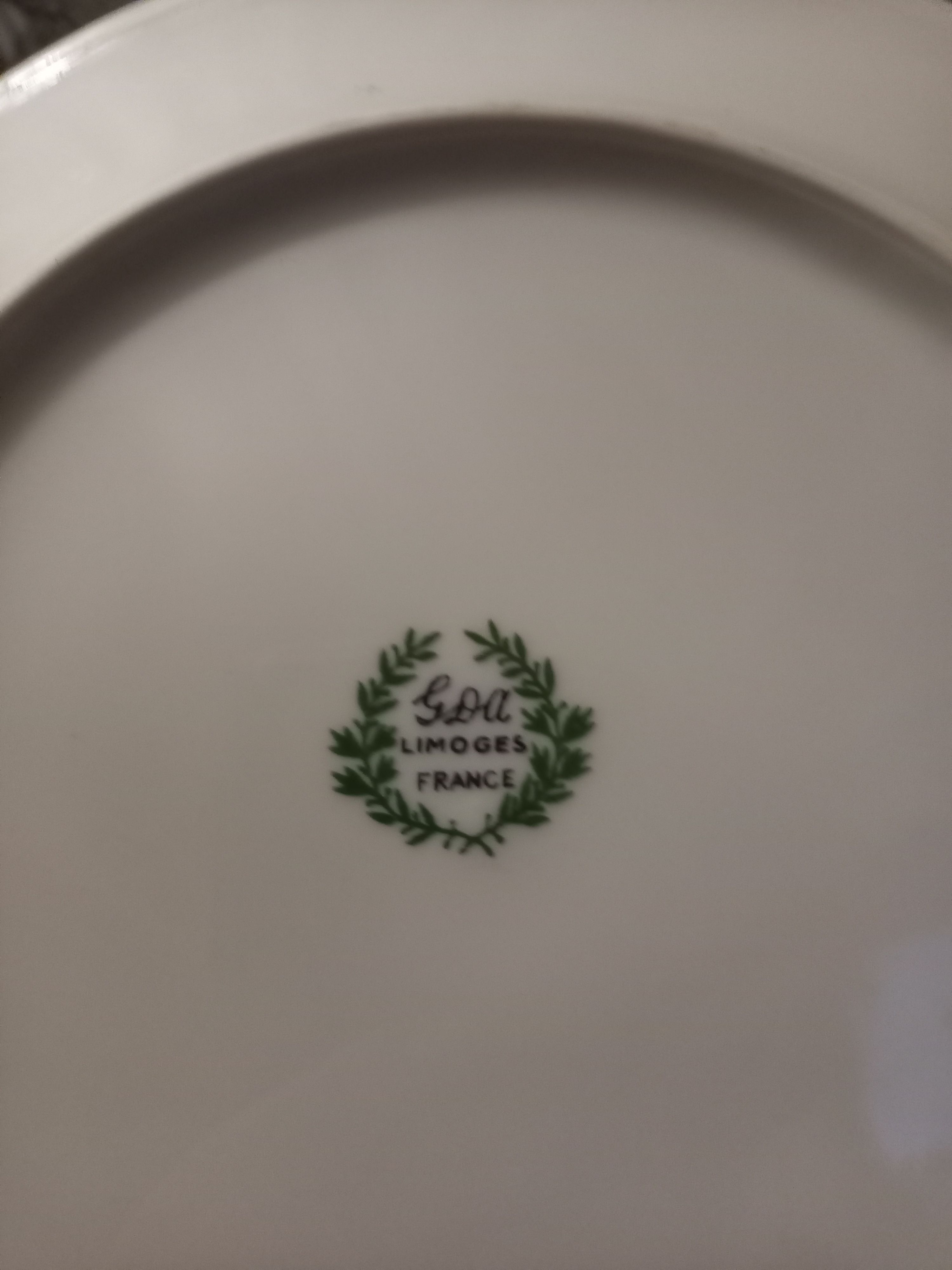 Lot 5 plates Château de Brazais porcelain of Limoges vintage