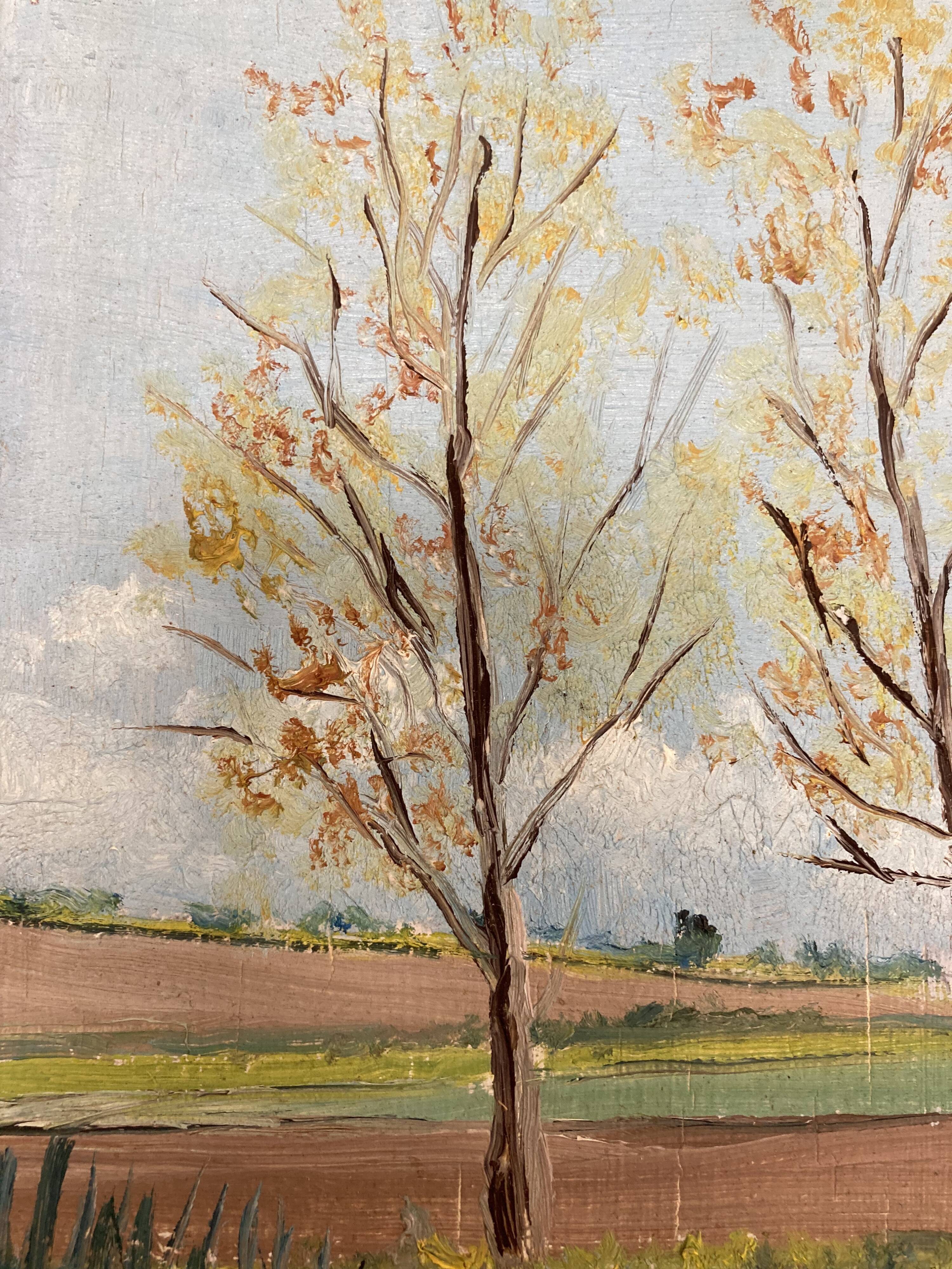Vintage poplar paint