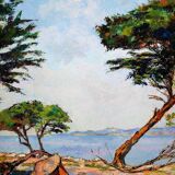 Le pin parasol Charles Belbeoc'h (1926- )