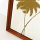Wall mirror décor golden coconuts