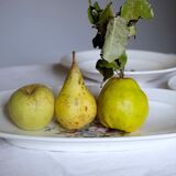 Flat faience of Lunéville China Keller & Guerin 1889 "Chaillot of Vercor" decoration in engraving enhanced drawing flowers