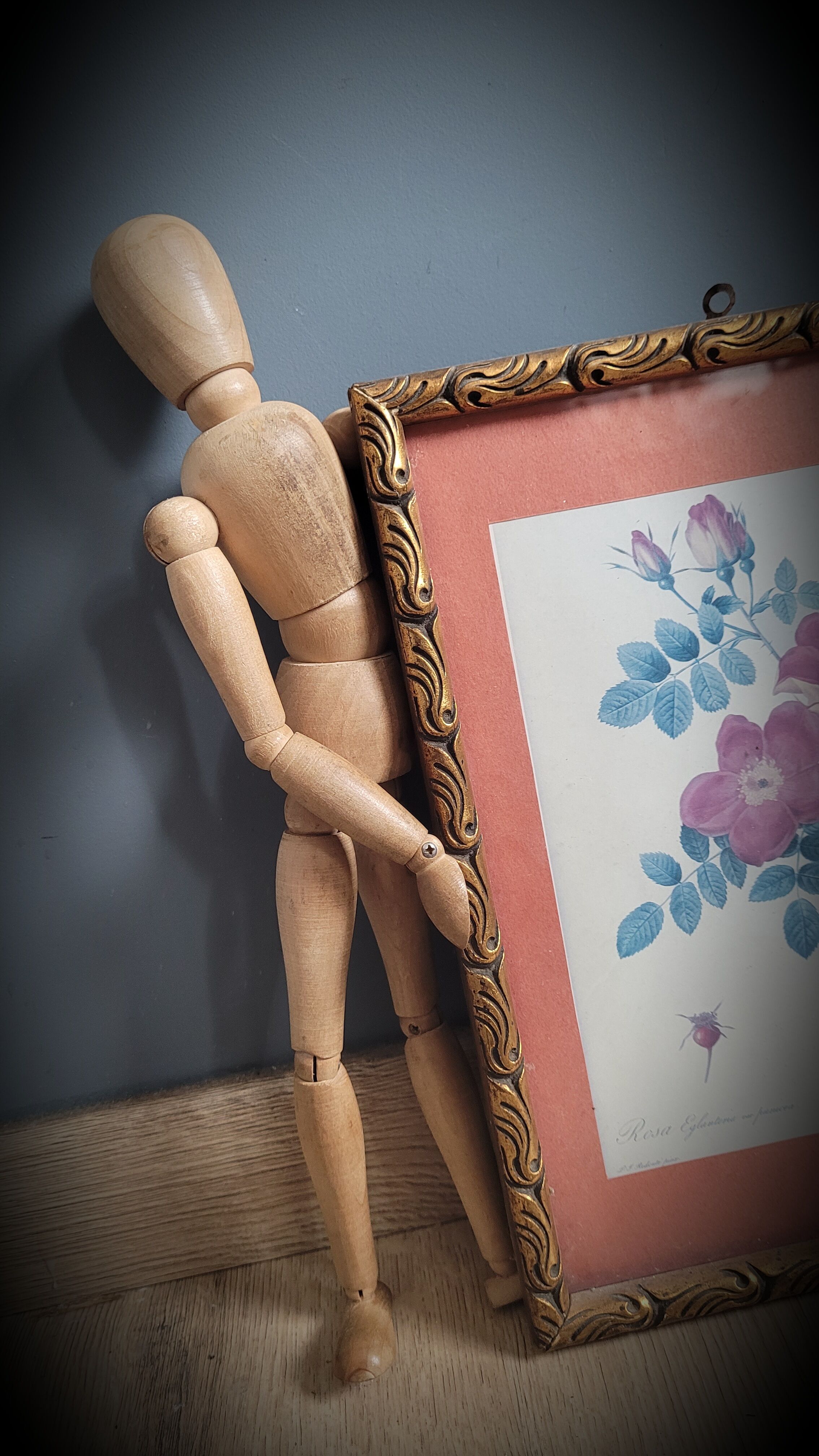 Litho Rose Eglantier