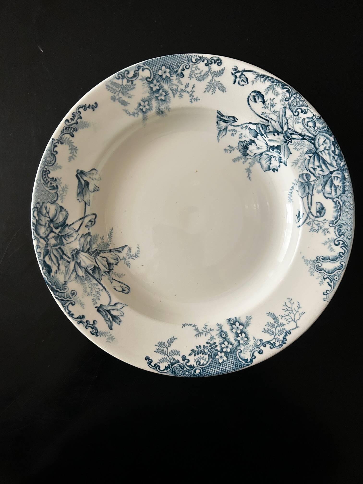 13 deep plates Terre de fer Cyclamens Louis Graves