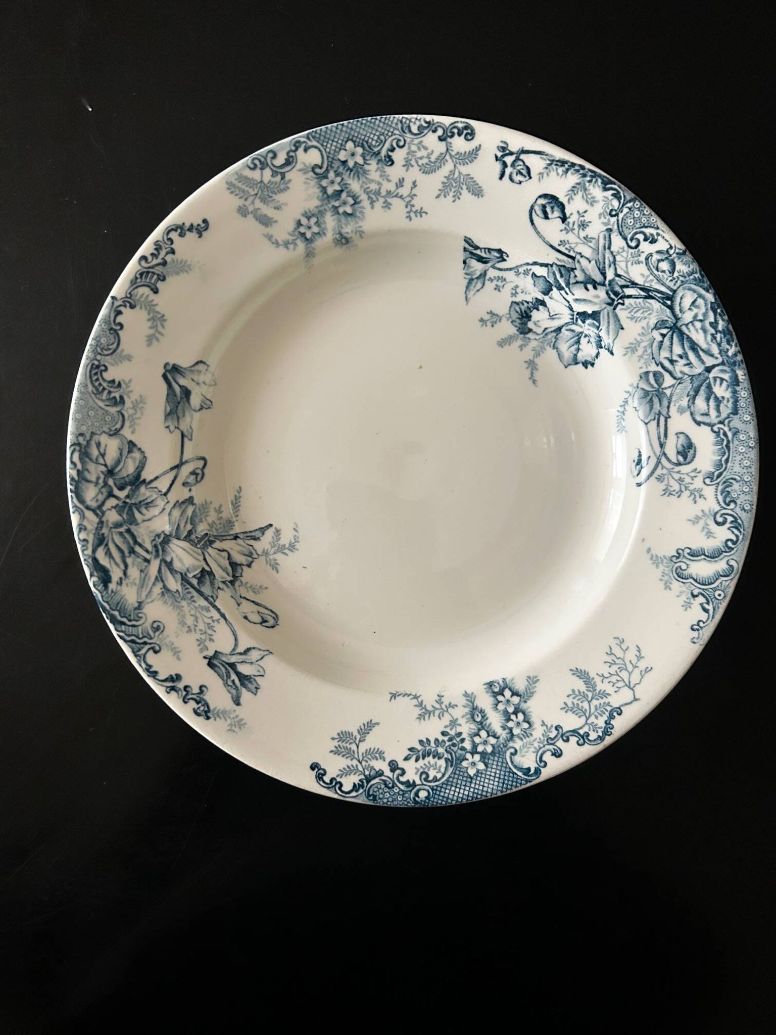 13 deep plates Terre de fer Cyclamens Louis Graves