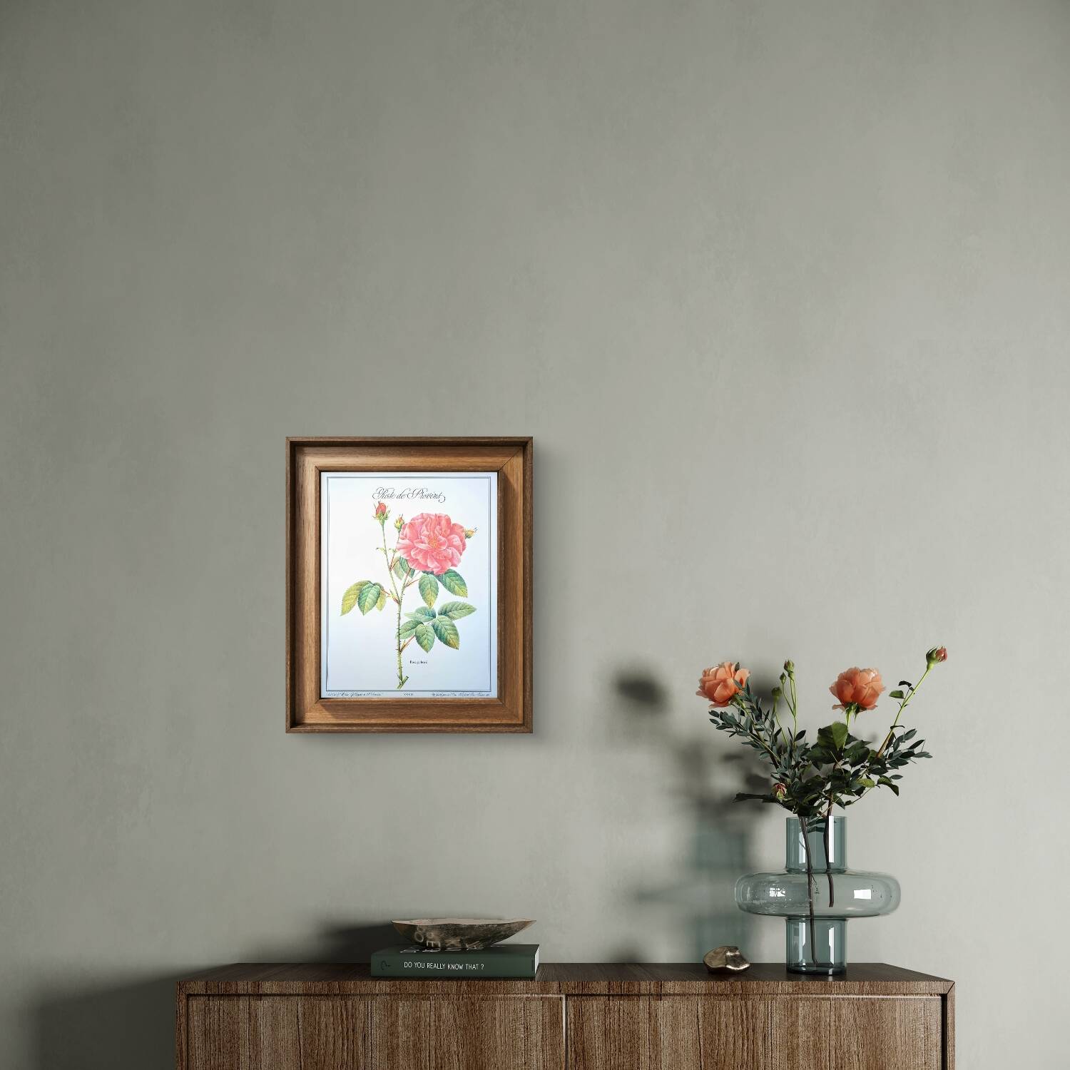 Botanical plate Rose of Provins