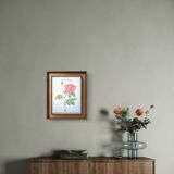 Botanical plate Rose of Provins