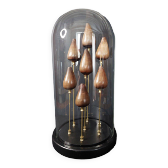 Cabinet de Curiosités globe aux coquillages conus figulinus