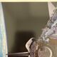 Original NASA Space Photography
