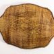 Vintage green wooden decorative plate, Italy, 1960s