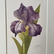 Duo d’aquarelles de Cecil Romey