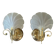 Pair of vintage shell wall lights