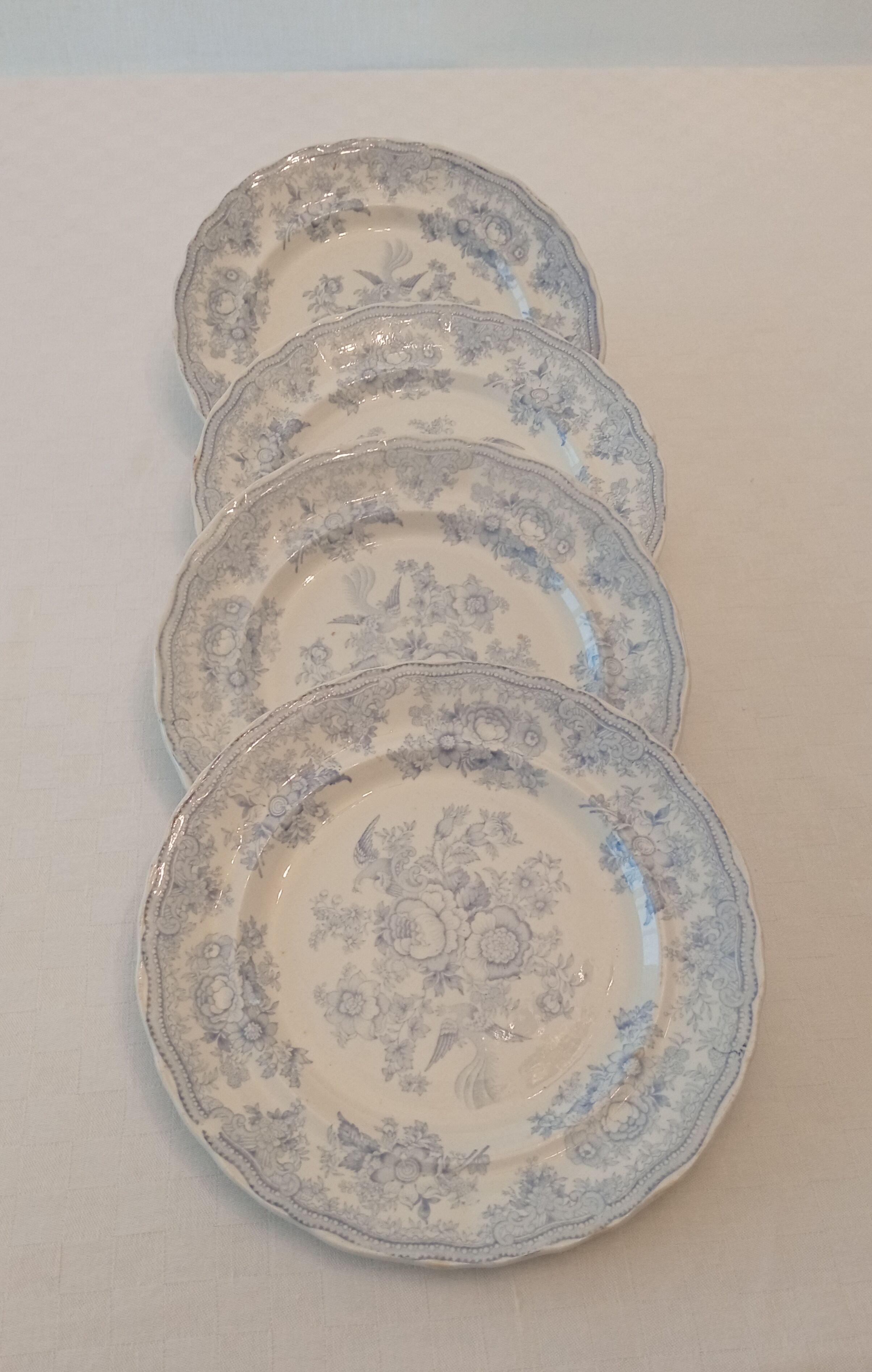Set of 4 plates in English earthenware