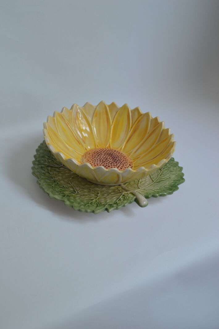 Salad bowl sunflower drainer in slip