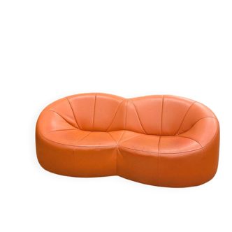 Pumpkin orange canapé