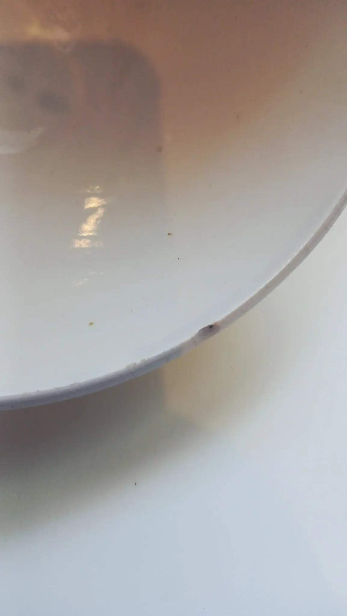 Old digoin bowl model andré