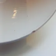 Old digoin bowl model andré