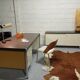Behin Industrial Design Office